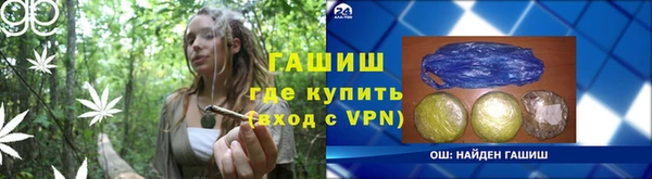 шишки Белокуриха