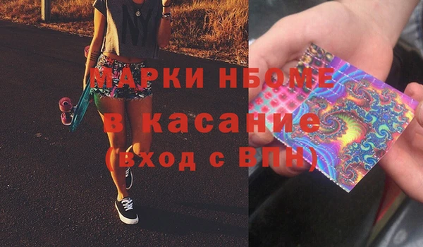 шишки Белокуриха