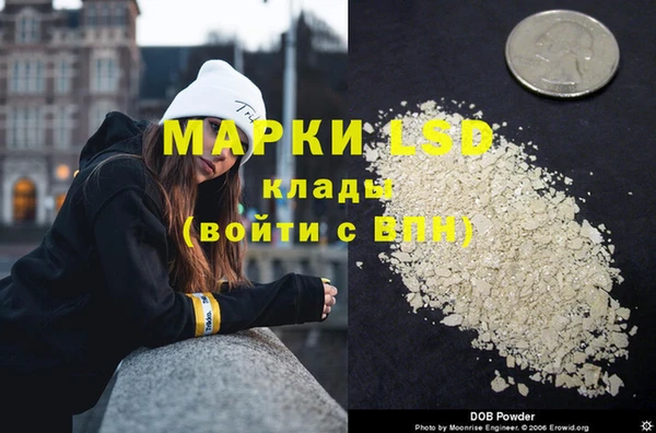 шишки Белокуриха
