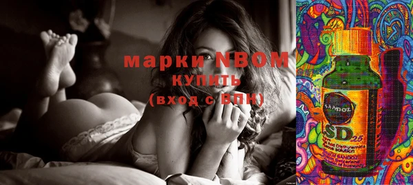 шишки Белокуриха