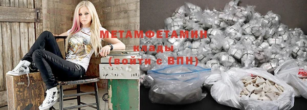 шишки Белокуриха
