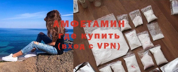 шишки Белокуриха