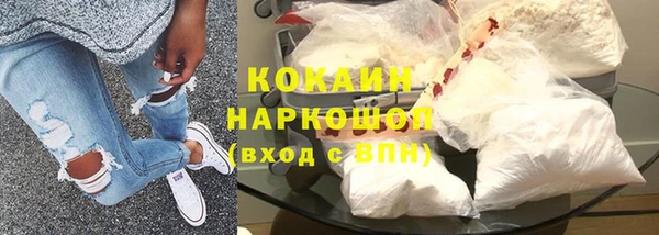 шишки Белокуриха