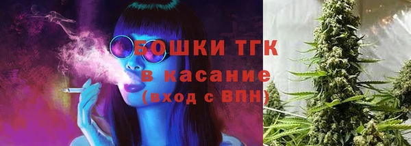 шишки Белокуриха