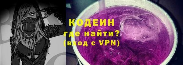 шишки Белокуриха