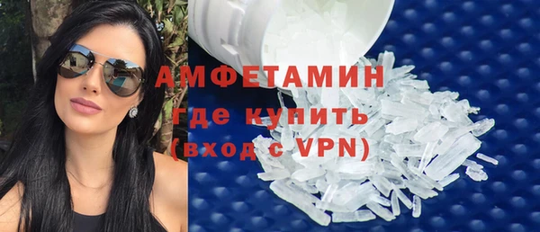 шишки Белокуриха