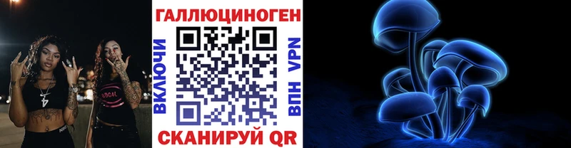даркнет телеграм  Тимашёвск  Псилоцибиновые грибы Psilocybine cubensis 